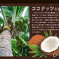 CoCo avo（ココアボ）《約3ヶ月分》エキストラバージンココナッツオイル＆アボカドオイル/ミネラル/カリウム/ダイエット/ココナッツ/ココナッツオイル/美容サプリ