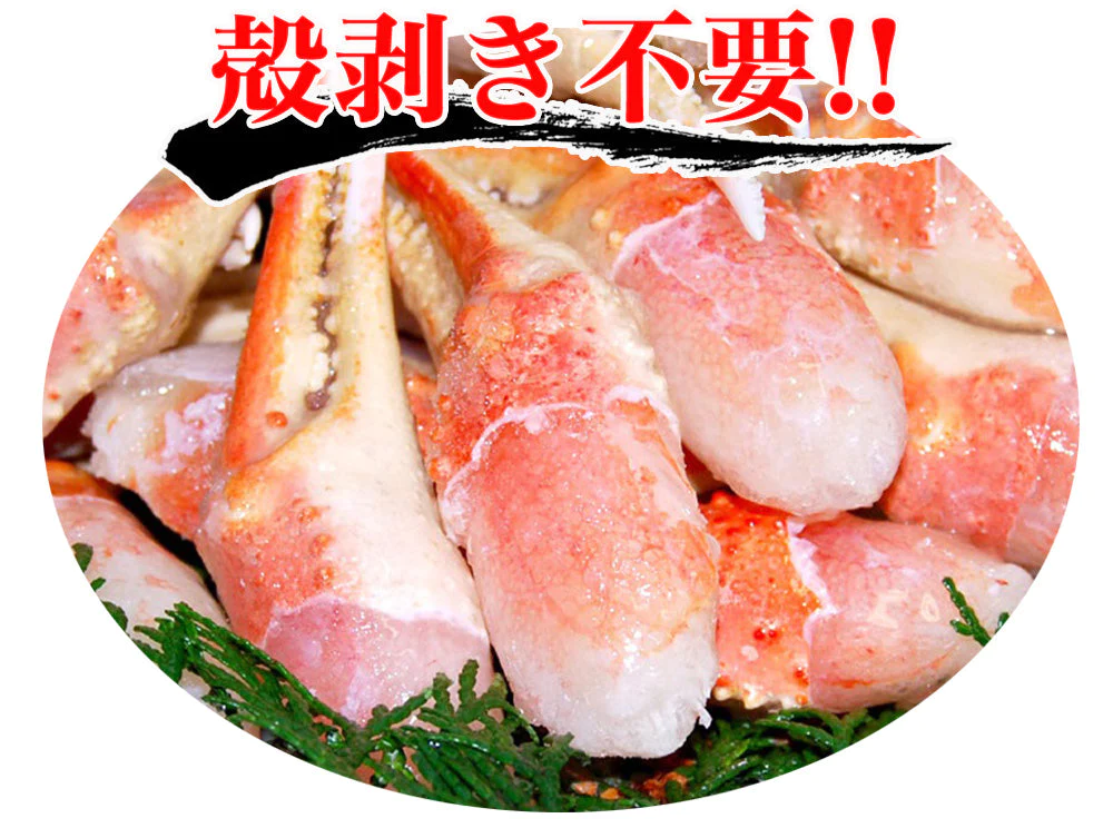 ズワイガニ ずわい蟹 カニ爪 500g カニ爪ポーション 蟹爪 かにつめ むき爪 カニしゃぶ カニ鍋 shr-013