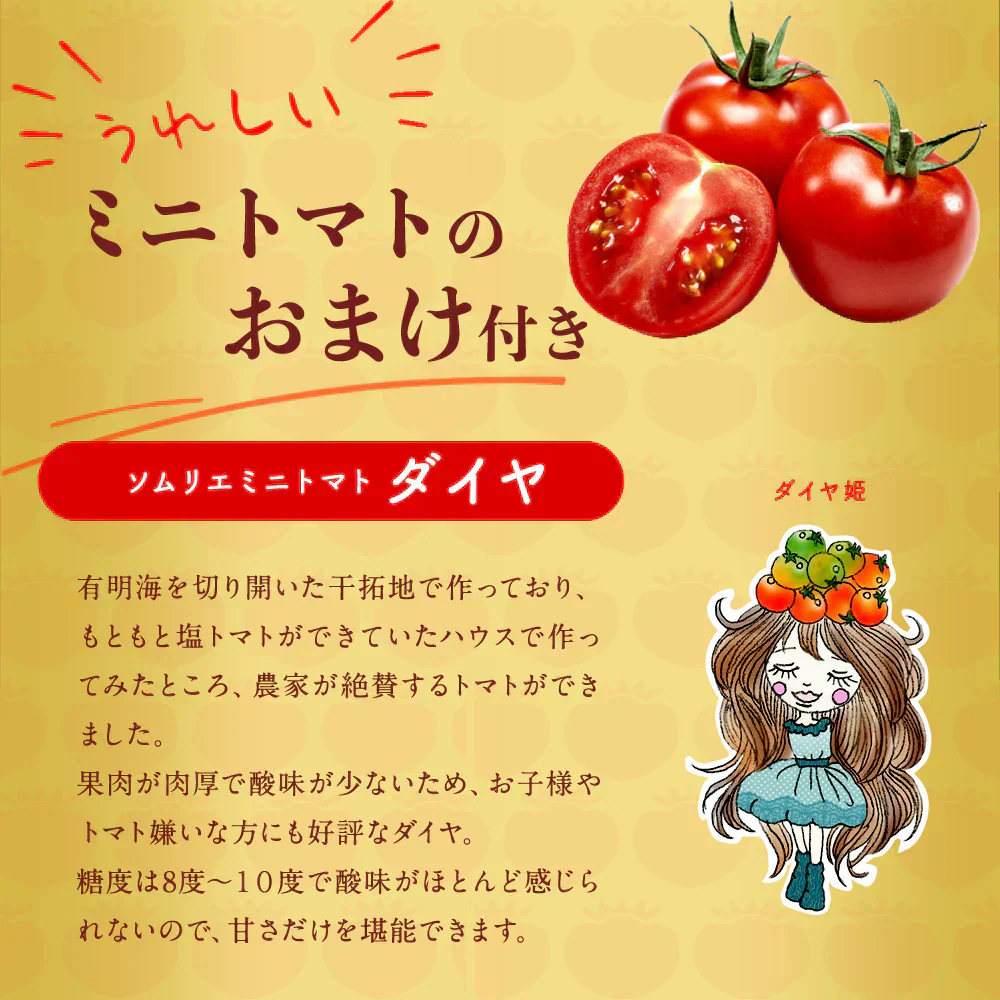 【特別栽培農産物】＼訳あり／ソムリエ トマト 4～5kg（18玉～36玉)ダイヤのオマケ付き