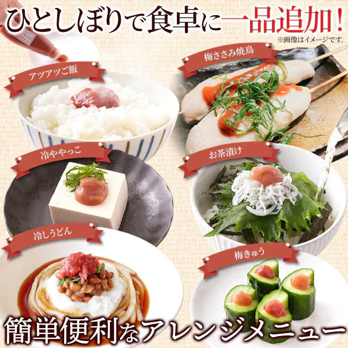 賞味期限2025年2月28日 はちみつ入り＆かつお☆紀州産南高梅のおいしい梅肉2本セット メール便