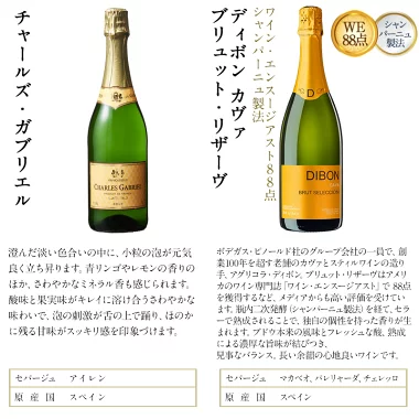 【送料無料】 シャンパーニュ製法入り スパークリングワイン 12本セット [W][WT65] ワインセット オーガニックワイン ロゼワイン カヴァ 入り フランスワイン イタリアワイン 【4～5営業日以内に出荷】