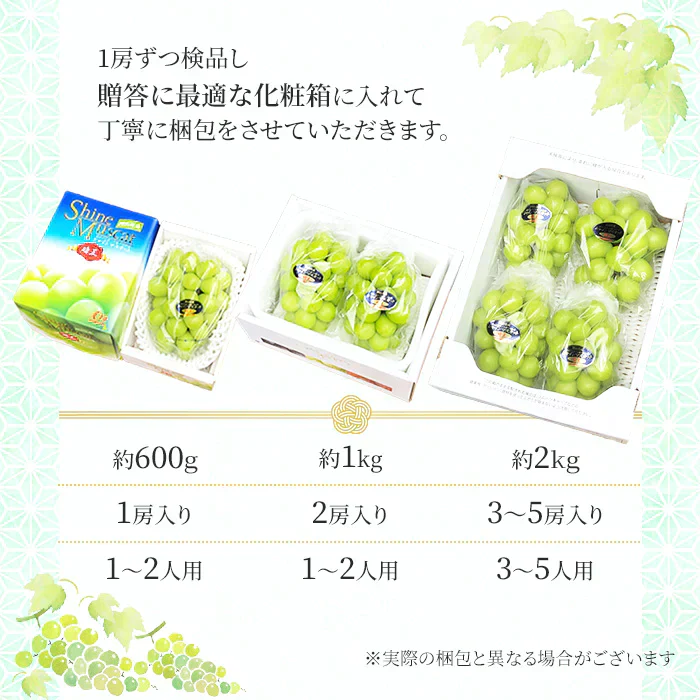 【9月上旬順次発送】送料無料 岡山産 シャインマスカット 晴王 訳あり 1房600グラム ぶどう ギフト お供え プレゼント 贈り物 お土産 シャインマスカット晴王