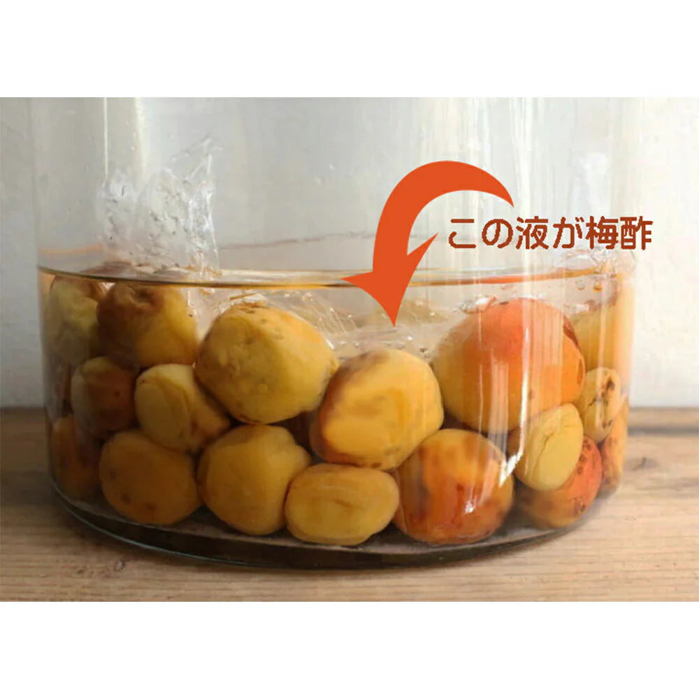 白梅酢 500ml×2本セット 国産 和歌山 南高梅 調味料 【送料込み】【お届け不可地域：北海道・沖縄・離島】