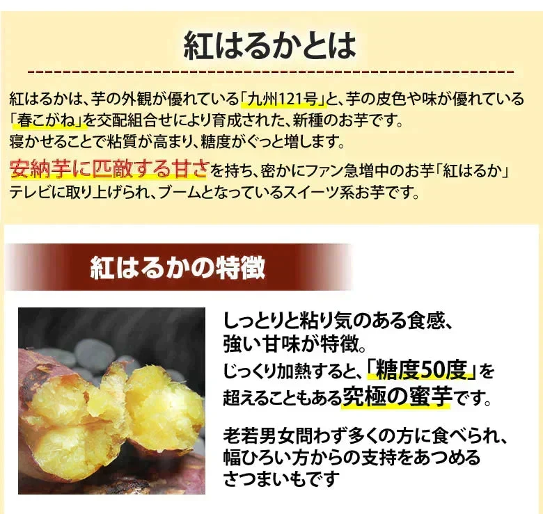 さつまいも 紅はるか 訳あり 5kg 箱込（内容量4kg＋補償分500g) 送料無料 熊本・宮崎県産 お取り寄せ サツマイモ 紅蜜芋 焼き芋 芋 いも