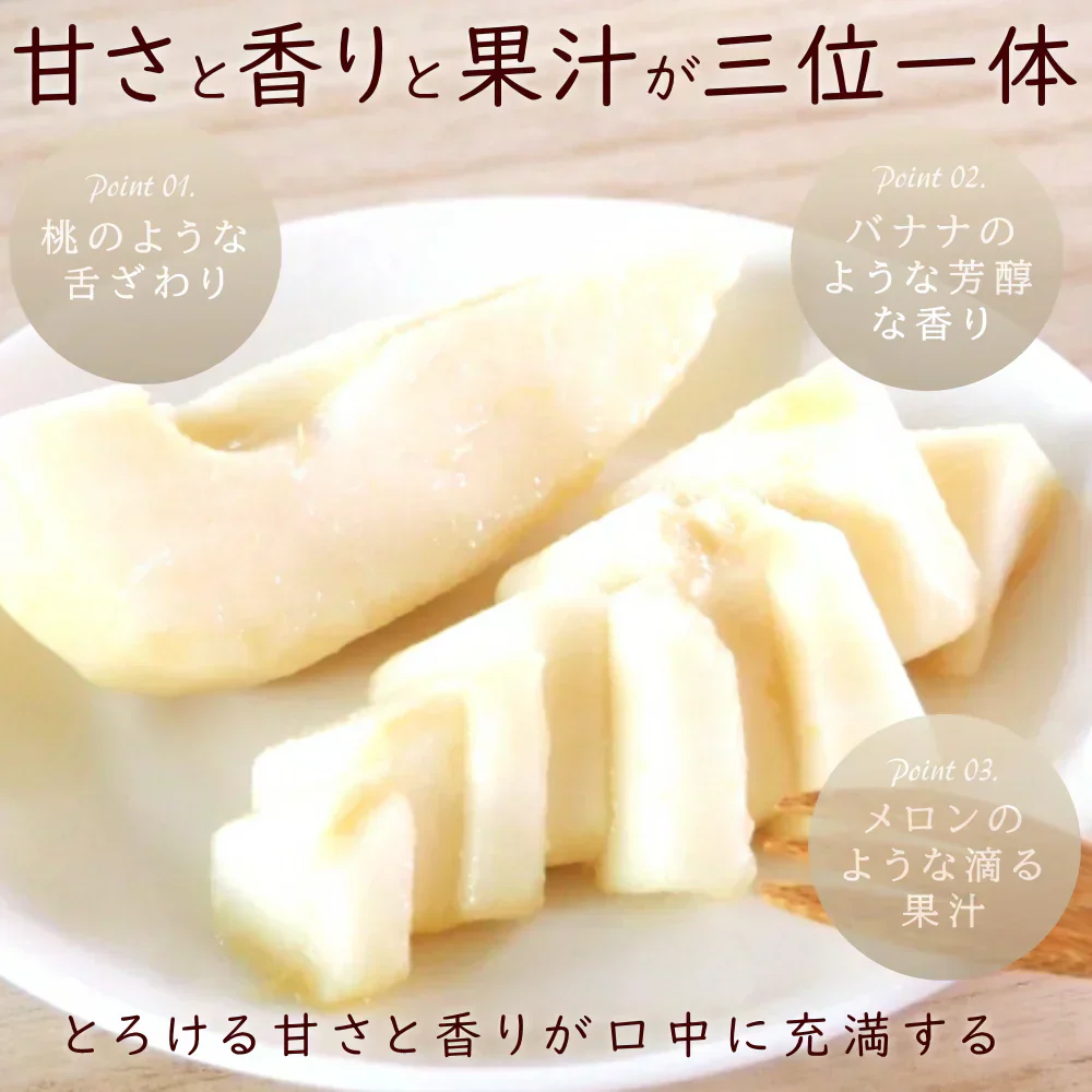【12月上旬～下旬ご注文受付順次】洋梨ルレクチェ贈り物約3kg化粧箱（8-12玉前後）西洋梨 秀品 贈答 ギフト 洋梨 せいようなし