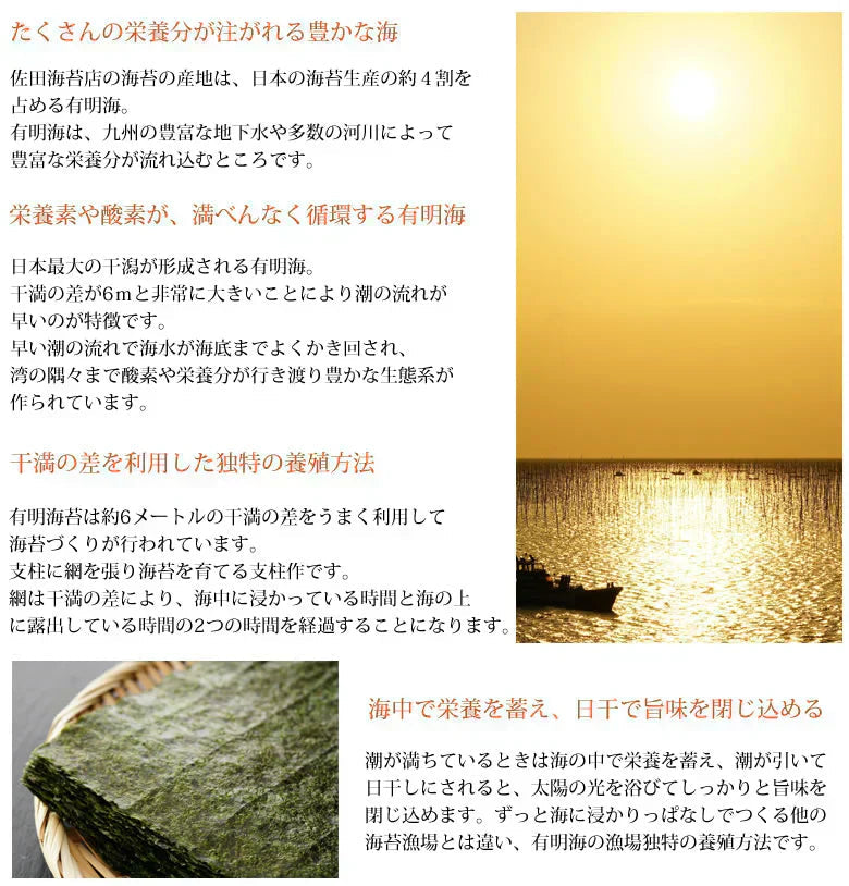 塩のり 海苔 味付け塩海苔 有明海産 送料無料 半形20枚 お取り寄せ お取り寄せグルメ 有明のり 焼きのり 熊本 天草 ご飯のお供 おにぎり 乾物 乾海苔 のり