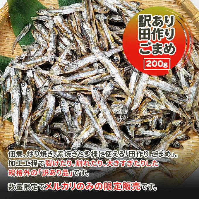 好評につき完売いたしました。訳あり 田作り ごまめ 200g サイズ 無選別 常温便 ネコポス 送料無料