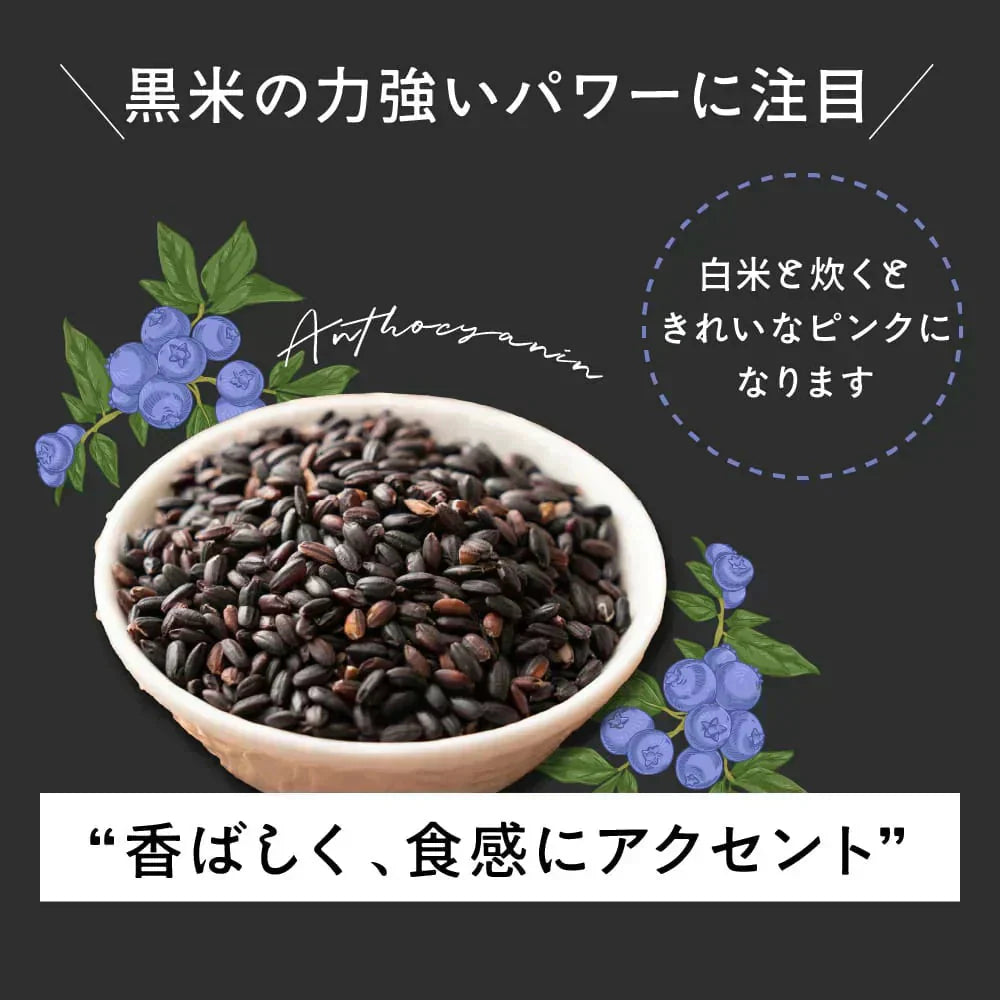 雑穀 雑穀米 国産 黒米 400g お試しサイズ 無添加 無着色 送料無料 古代米 くろまい こくまい ダイエット食品 置き換えダイエット