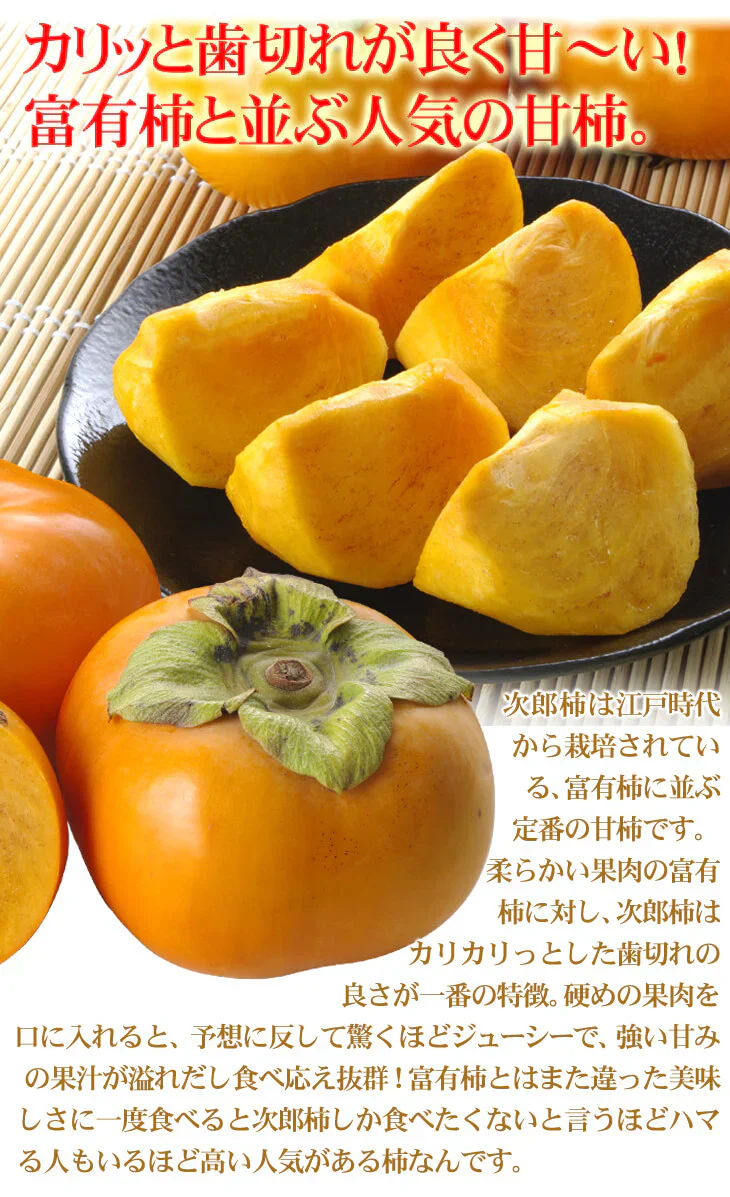 【数量限定】次郎柿 ご家庭用 約10kg 愛知産 甘柿（発送予定：10月下旬より）
