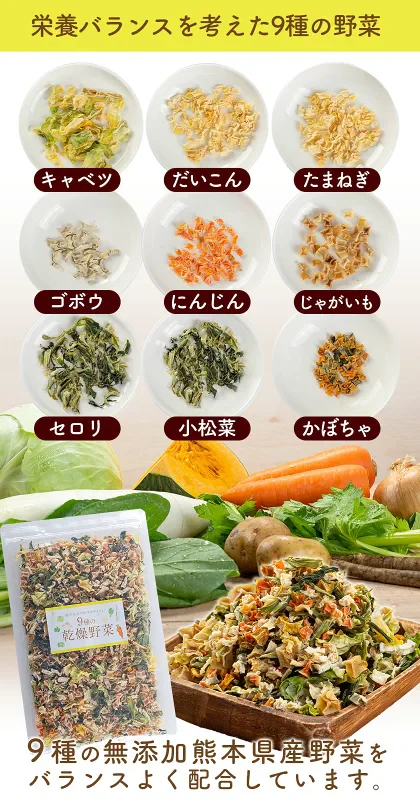 9種の国産野菜 乾燥野菜 完全無添加 完全国産 熊本県産 100g 野菜セット スープ 味噌汁 インスタント やさい 栄養 ドライベジ エアドライ 野菜 詰め合わせ 健康 ブドウ糖不使用《3-7営業日以内に発送予定(土日祝日除く)》