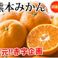 【10月上旬～中旬頃より順次出荷】みかん 5kg 送料無料 訳あり 箱込（内容量4kg＋補償分500g) 無選別 熊本みかん 極早生みかん 早生みかん 温州みかん蜜柑 ミカン