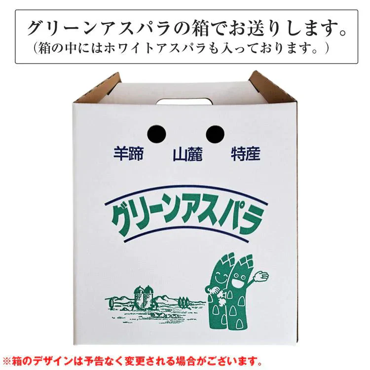 ホワイトアスパラガス 北海道 朝採れ 1kg 食べ比べ ホワイトアスパラ 500g グリーンアスパラ 500g 羊蹄山 産地直送 冷蔵便 同梱不可 指定日不可 産直