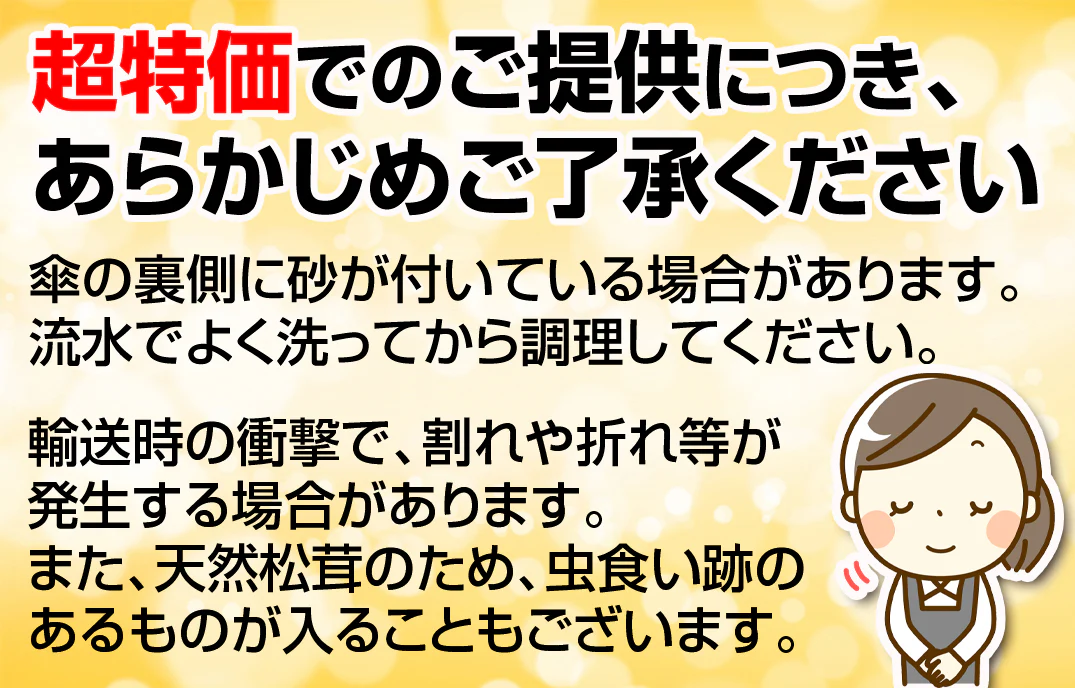 松茸 約1kg 北米産 ご家庭用【発送予定：11月中旬より】