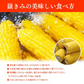 【朝採&産地直送！】青森県産 プレミアムとうもろこし 嶽きみ 24本セット とうもろこし だけきみ トウモロコシ 野菜