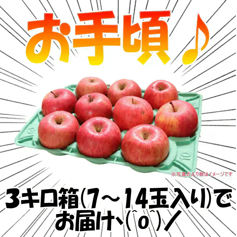 青森県産 りんご サンふじ 2kg箱 家庭用 ★サンふじ 家 2kg 箱