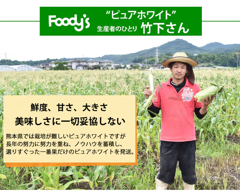 とうもろこし ピュアホワイト 送料無料 約3kg 8～12本入り 九州産 白いとうもろこし 極甘フルーツコーン スイートコーン 雪の妖精