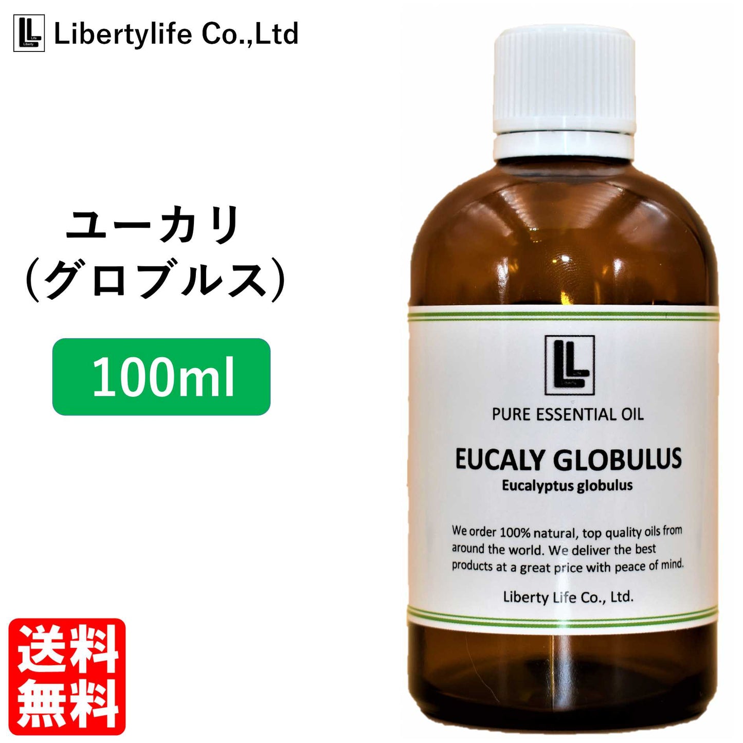 アロマオイル ユーカリ (グロブルス) 精油 エッセンシャルオイル  (100ml)