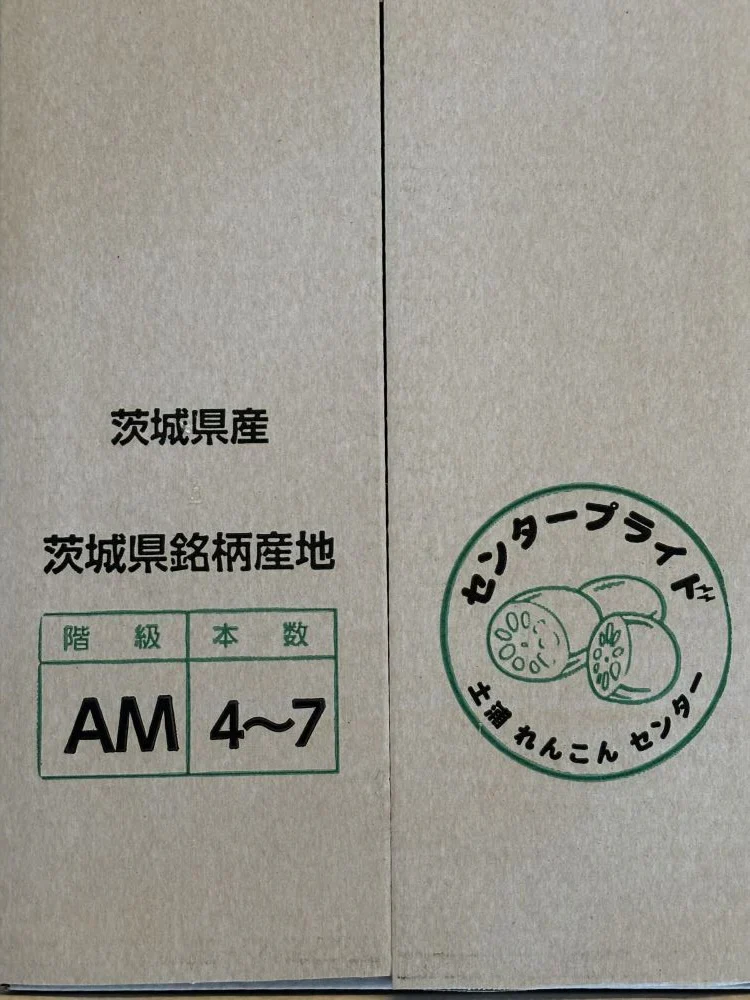 れんこん ギフト 霞ヶ浦れんこん 約2kg レンコン 蓮根 贈答用 国産 茨城県産 土浦
