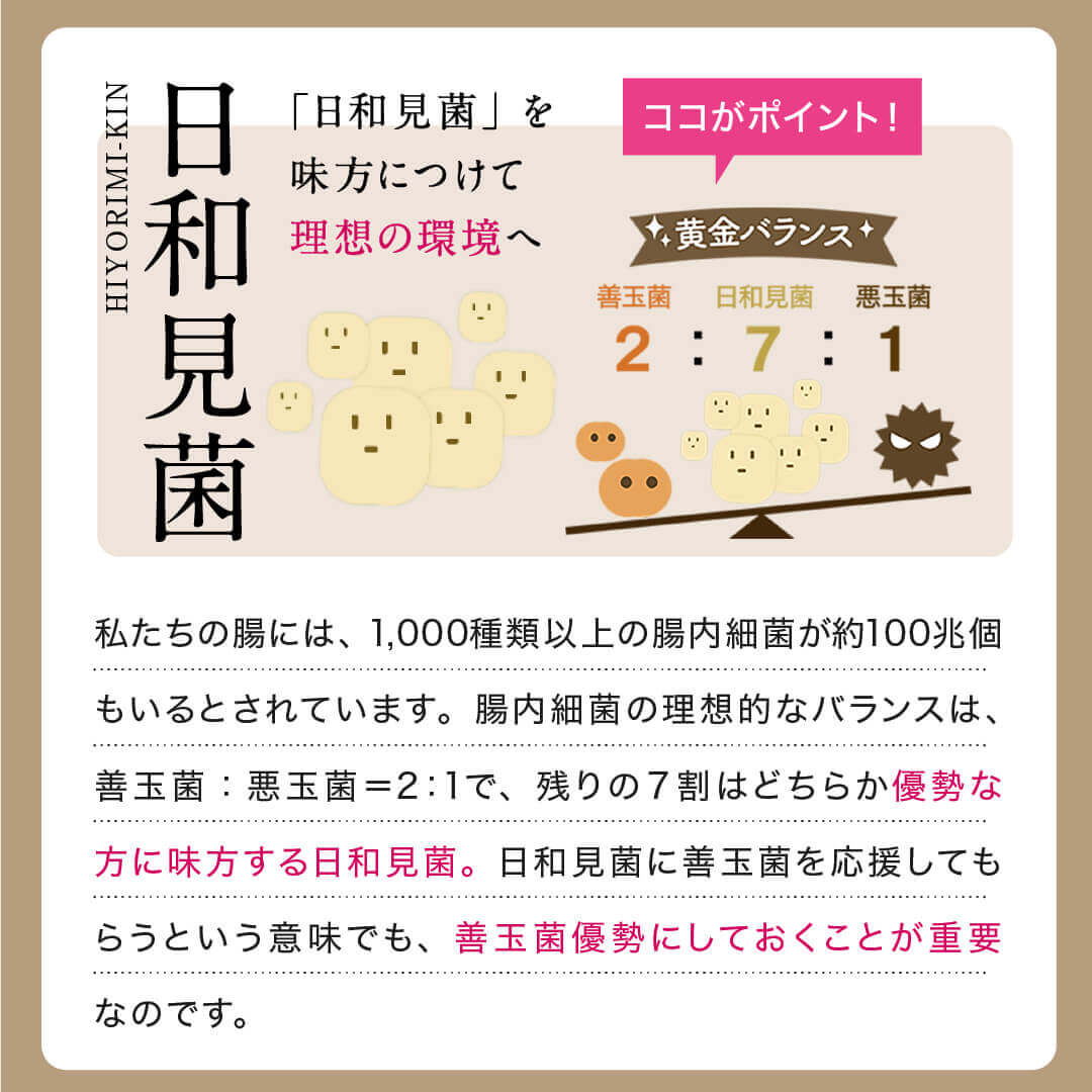 【送料込】こな納豆 / 匂い粘りひかえめ(18g×2個) 完全無添加 国産納豆パウダー 離乳食や食事にかけるだけで栄養アップ 納豆菌で手軽に腸活