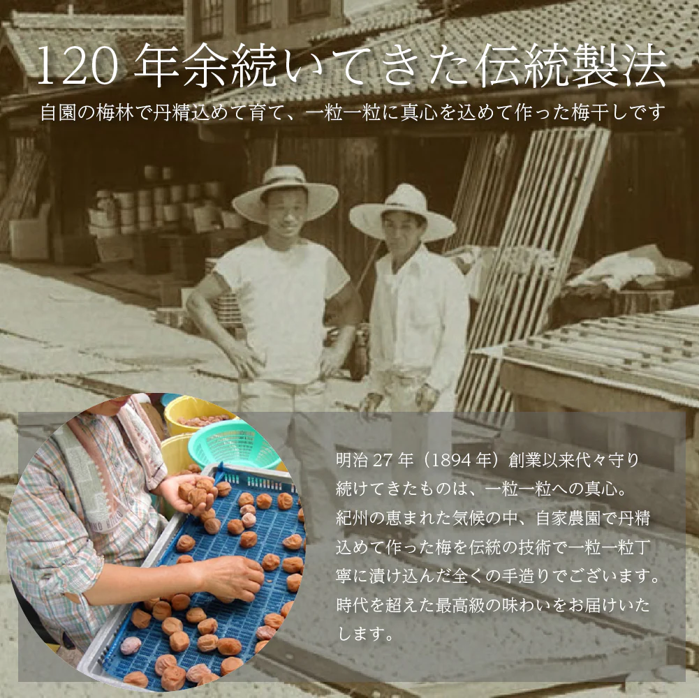【800g】紀州南高梅 つぶれ梅 Lサイズ 合計800g（400g×2袋）はちみつ味