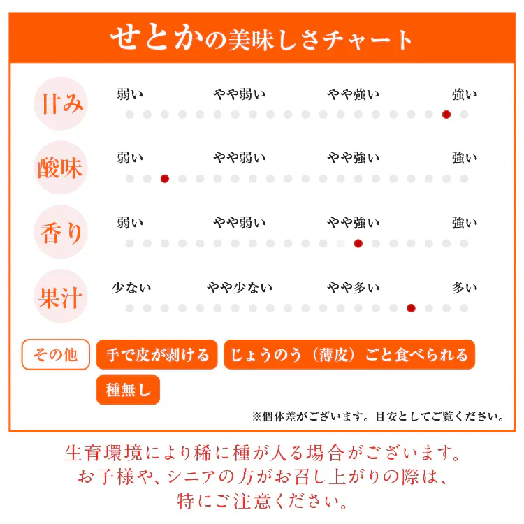 せとか みかん 5kg 愛媛県産 柑橘の大トロ kdm-090