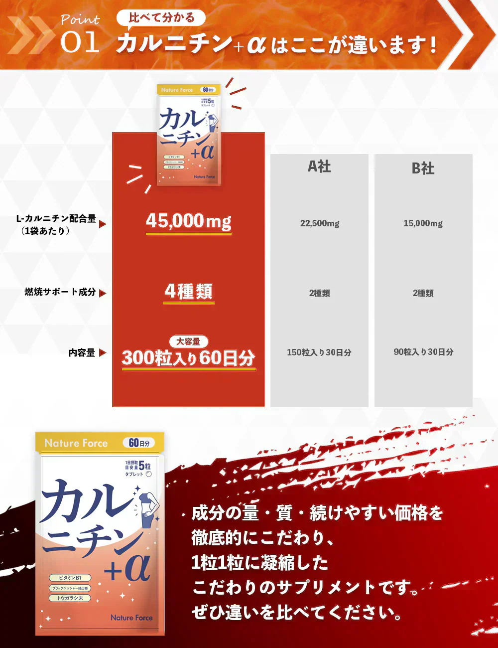 【訳あり 使用期限2025年9月】薬剤師監修 カルニチン＋α 60日分 1袋 L-カルニチン45,000mg配合 ブラックジンジャー カプサイシン ビタミンB1 ネイチャーフォース Nature Force