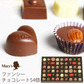 【訳あり 在庫品売り尽し】 メリーチョコレート 54個入り ファンシー FC-N 限定数 特価 在庫処分 メール便配送