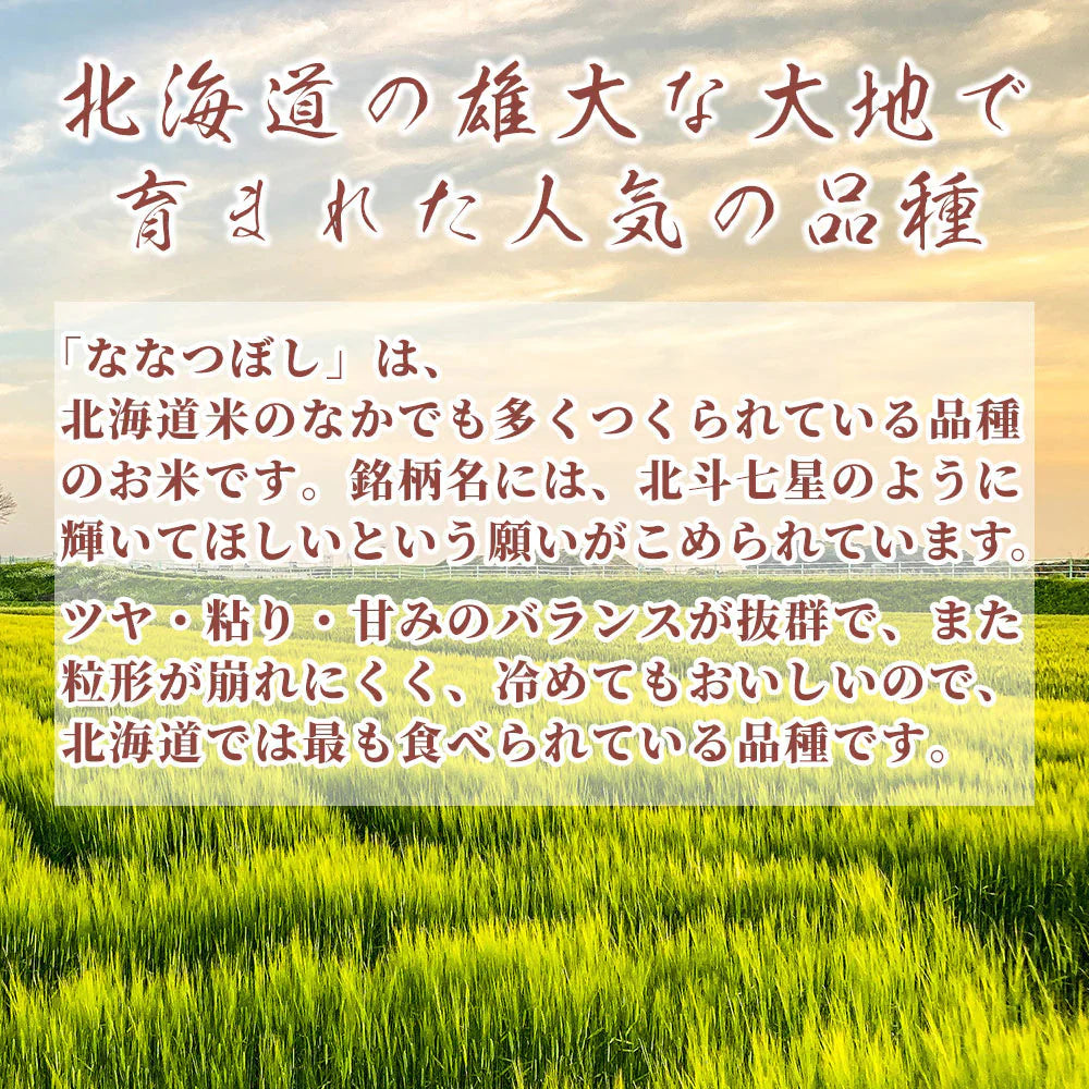 【白米】 北海道産 ななつぼし 150kg(5kg×30袋) [北海道産ななつぼし100％] 単一原料米 送料無料 精米工場からの直送品