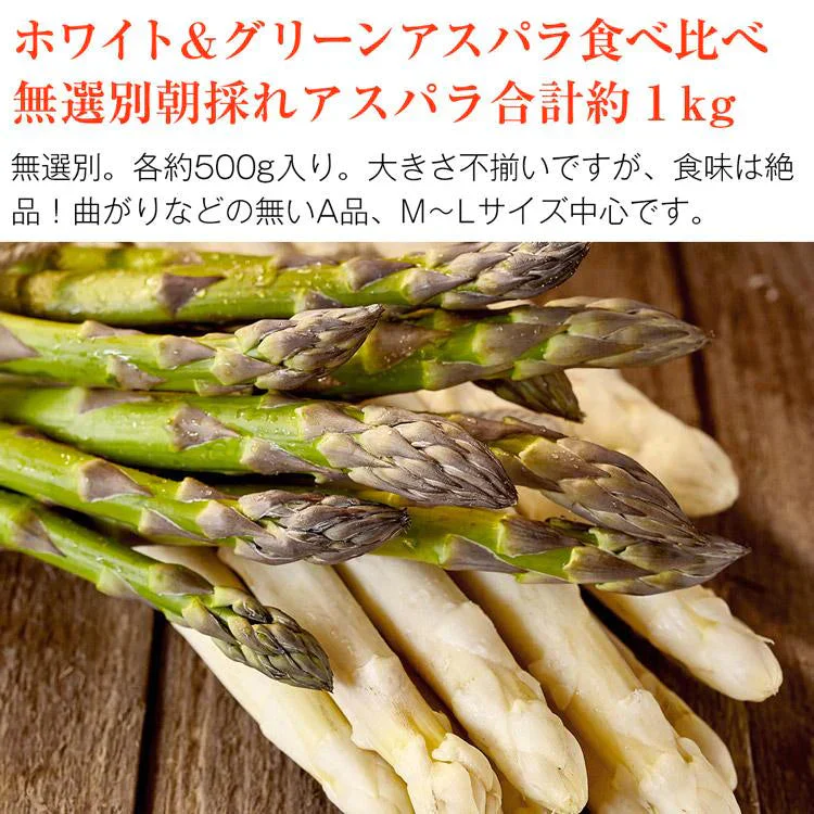 ホワイトアスパラガス 北海道 朝採れ 1kg 食べ比べ ホワイトアスパラ 500g グリーンアスパラ 500g 羊蹄山 産地直送 冷蔵便 同梱不可 指定日不可 産直
