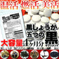 【メガ盛り 大容量お得４ヵ月分・黒しょうが＆5つの黒】サプリ 水溶性食物繊維 生姜ヒハツエキス 金時 黒生姜 発酵黒にんにく 黒たまねぎ 黒酢 黒豆 サプリメント サプリ 健康補助食品 黒しょうが 生姜 黒にんにく 温活 黒酢 黒豆 野菜 美容 栄養 ダイエット 燃活 美活 大容量 お徳用 低体温 むくみ 冷え 240粒 売れ筋 爆安 格安 お得 激安 コスパ最高 コスパ最強 健康食品 20代 30代 40代 50代 60代 大容量 日本製 おすすめ 国産