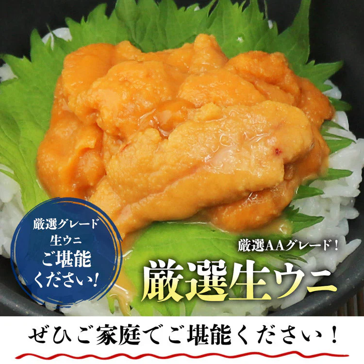生うに 100g×3パック 完全無添加 みょうばん不使用  お刺身用 生 AAグレード ウニ うに 雲丹 冷凍 送料無料 冷凍便 お取り寄せグルメ 食品 ギフト