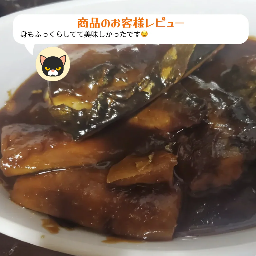 さば 無添加 無塩 トロさば サバ 鯖 約2kg(12〜16尾）トロ鯖 海鮮 天然 美味しい 魚 魚介 海産物 おかず おつまみ 乾き物 酒の肴 贈り物 お取り寄せグルメ 食べ物 おいしい 絶品