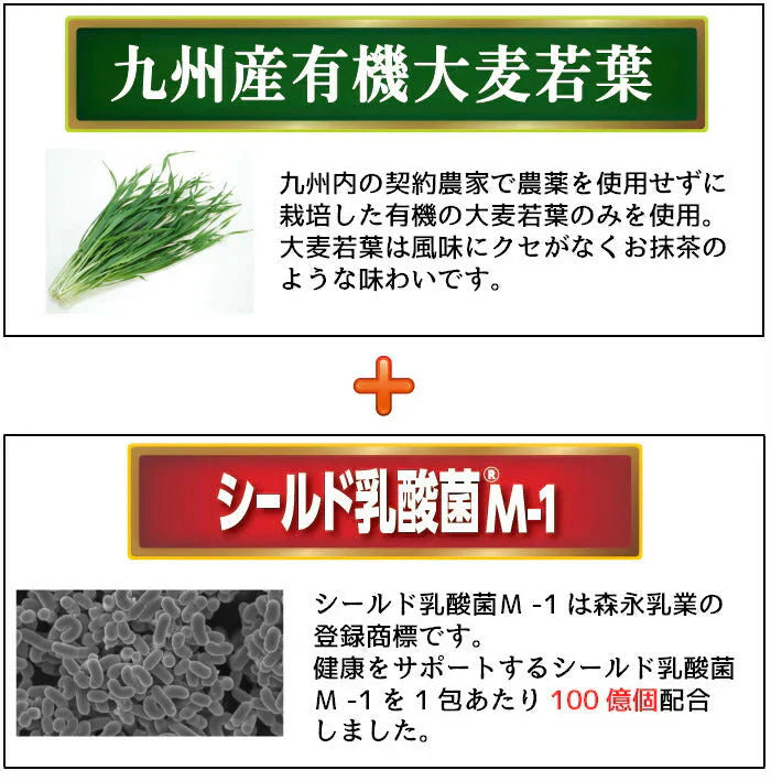豊生 九州産有機大麦若葉+乳酸菌 2.5ｇ×30包入り◆ 青汁 お試し おためし 健康食品 サプリメント サプリ 国産 日本製 乳酸菌 シールド乳酸菌 野菜不足 食物繊維 飲みやすい スティック 小分け 無添加 おいしい