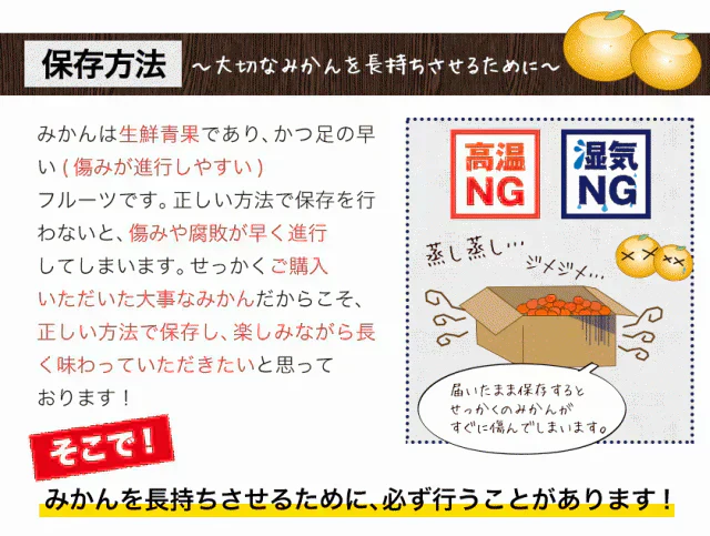 産地直送 熊本県産 みかん 訳あり 送料無料 熊本ミカン 大玉 小玉 不選別 規格外 果物 柑橘 九州 訳アリ 蜜柑 みかん 3-7営業日以内に発送予定（土日祝除く）