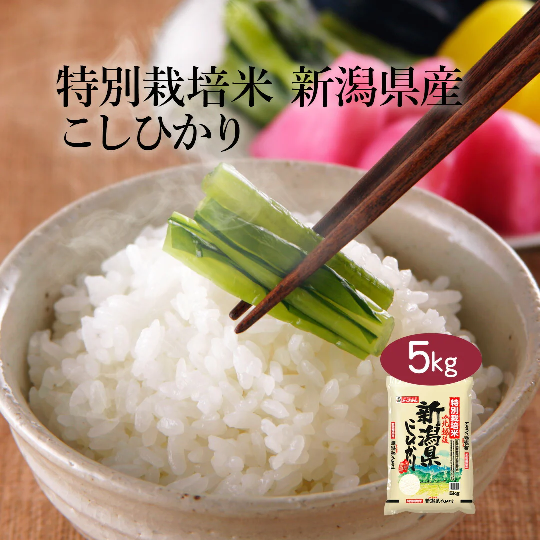 米 精米 新潟県 特別栽培米 こしひかり 5kg 令和5年産 新米 JA北越後指定 お米 白米 おくさま印 国産 食品 ギフト 引っ越し 挨拶 出産 内祝い 母の日 父の日 お中元 お歳暮 結婚 快気 還暦 香典返し お年賀 送料無料