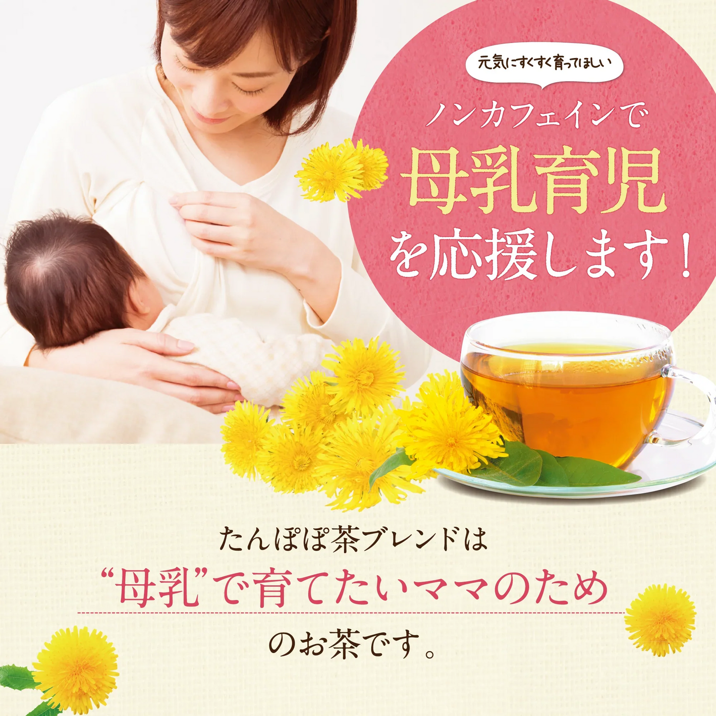 たんぽぽ茶清らかブレンドポット用　5個入（ お試しサイズ ノンカフェイン カフェインレス 母乳 育児 妊婦 たんぽぽ根 黒豆 黒豆茶 国産黒豆 醗酵ギンネム ハーブティー プレゼント ギフト 誕生日 妊活 お茶 水出し ティーバッグ )