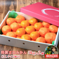 みかん　特撰　吉田みかん　５ｋｇ２箱　特撰０５０２　贈答用　精品　中玉　２Ｌサイズ揃えで３５玉前後が２箱　化粧箱入　特撰包装　ミカン　蜜柑　フルーツ　果物　柑橘　贈物　贈答　お歳暮　送料無料