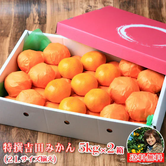 みかん　特撰　吉田みかん　５ｋｇ２箱　特撰０５０２　贈答用　精品　中玉　２Ｌサイズ揃えで３５玉前後が２箱　化粧箱入　特撰包装　ミカン　蜜柑　フルーツ　果物　柑橘　贈物　贈答　お歳暮　送料無料