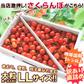 【6月中旬-7月中旬頃発送】山形産 訳あり さくらんぼ LLサイズ 約1kg バラ詰め