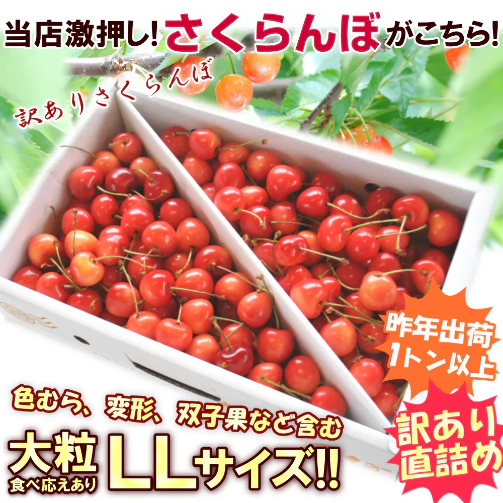 【6月中旬-7月中旬頃発送】山形産 訳あり さくらんぼ LLサイズ 約1kg バラ詰め