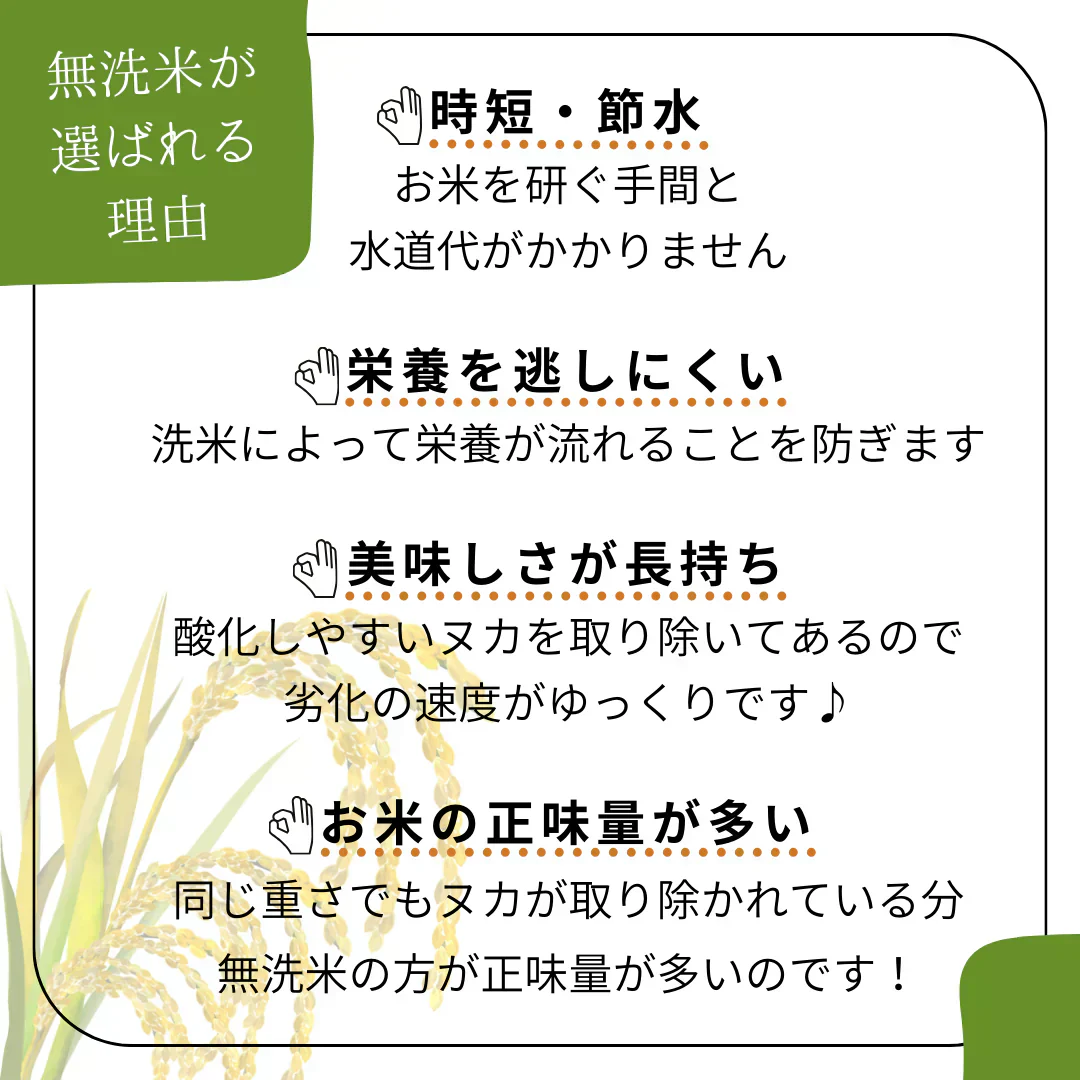 特別栽培米 無洗米 福岡県産 夢つくし 300g ×2 令和5年度産