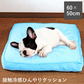 接触冷感生地 ひんやり ひんやりクッション 60×50 大きい 犬 赤ちゃん 子供 ペット