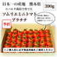 予約【１月前後から発送開始】お試し＼特別栽培農産物／ソムリエミニトマト　プラチナ　３９０ｇ