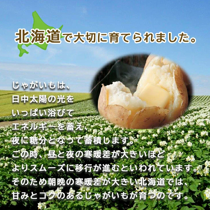 【終了】【10月中旬より順次出荷予定】北海道産 大地の恵み5種セット 9kg　男爵・キタアカリ・玉ねぎ・人参(2L～M混)/各2kg、かぼちゃ(1.5kg以上)/1個