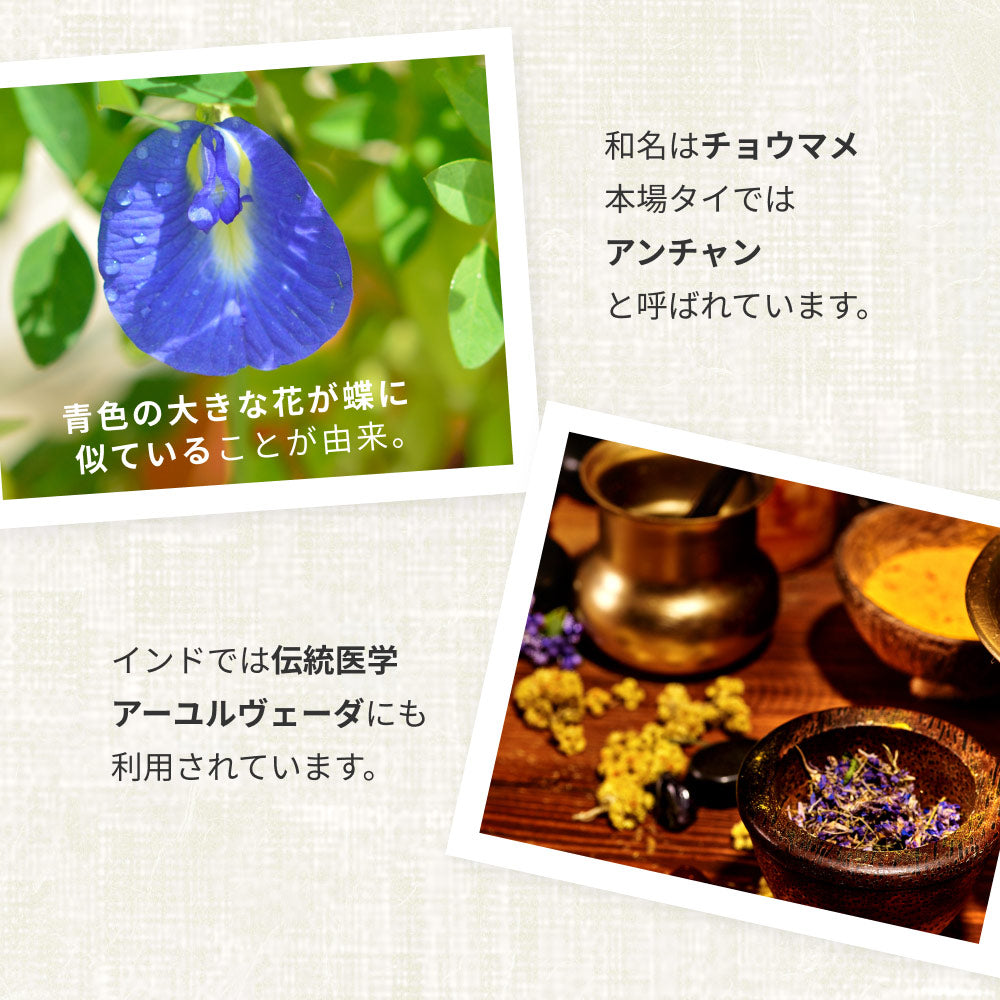 バタフライピー 無農薬 茶葉 50g 2袋 京都お茶工場製造 ハーブティー ノンカフェイン 無着色 無香料無農薬 青いお茶 青い花 蝶豆花茶 映え タイ ブルー ハーバルティー アントシアニンが豊富 エイジングケア 美容 健康 天然色素 オーガニック