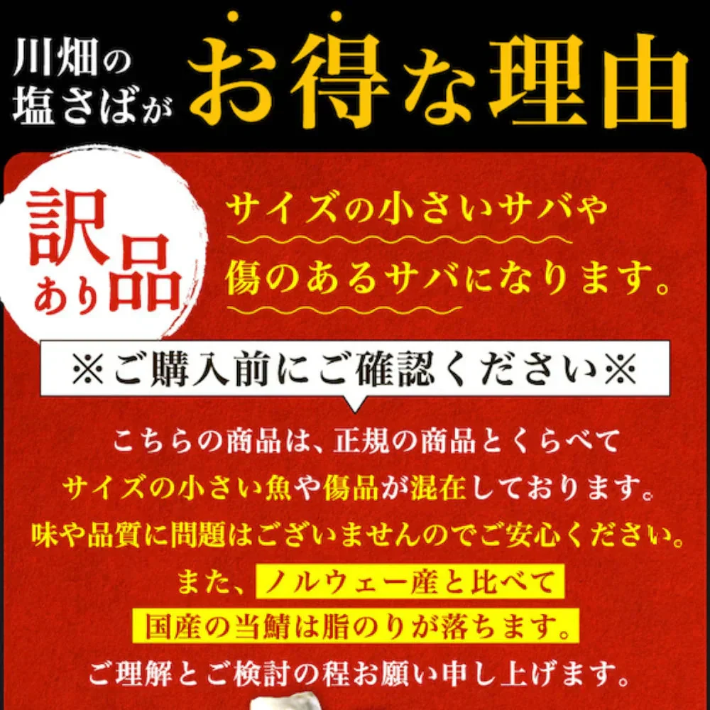 【数量限定 訳あり】 国産塩さばフィレ 2kg(約20枚) さば 鯖 国産 塩サバ 大容量 お買い得 セット お手軽 調理 料理 シーフード 海鮮 食品 合わせ買い まとめ買い 商品 通販 惣菜 お取り寄せ グルメ 大人気 人気 おすすめ オススメ