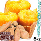 さつまいも 5kg 安納芋 正品 種子島産 送料無料 食品(発送予定:2026年11月中旬より)