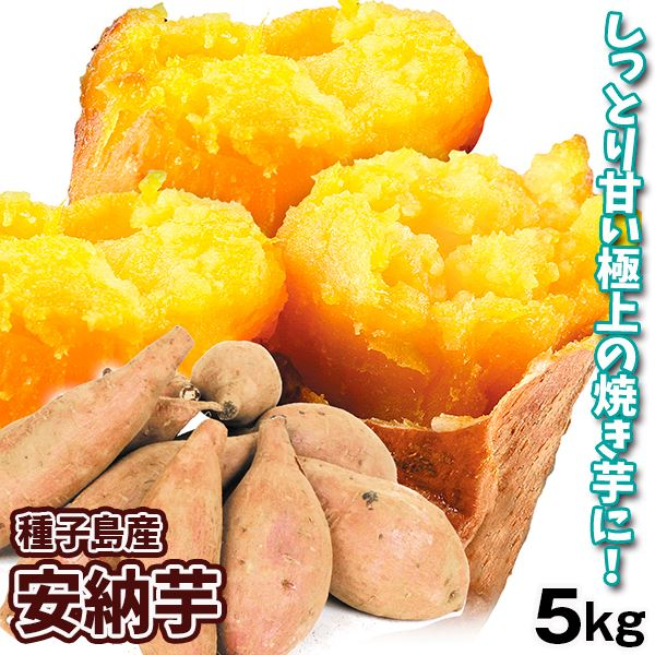 さつまいも 5kg 安納芋 正品 種子島産 送料無料 食品(発送予定:2026年11月中旬より)