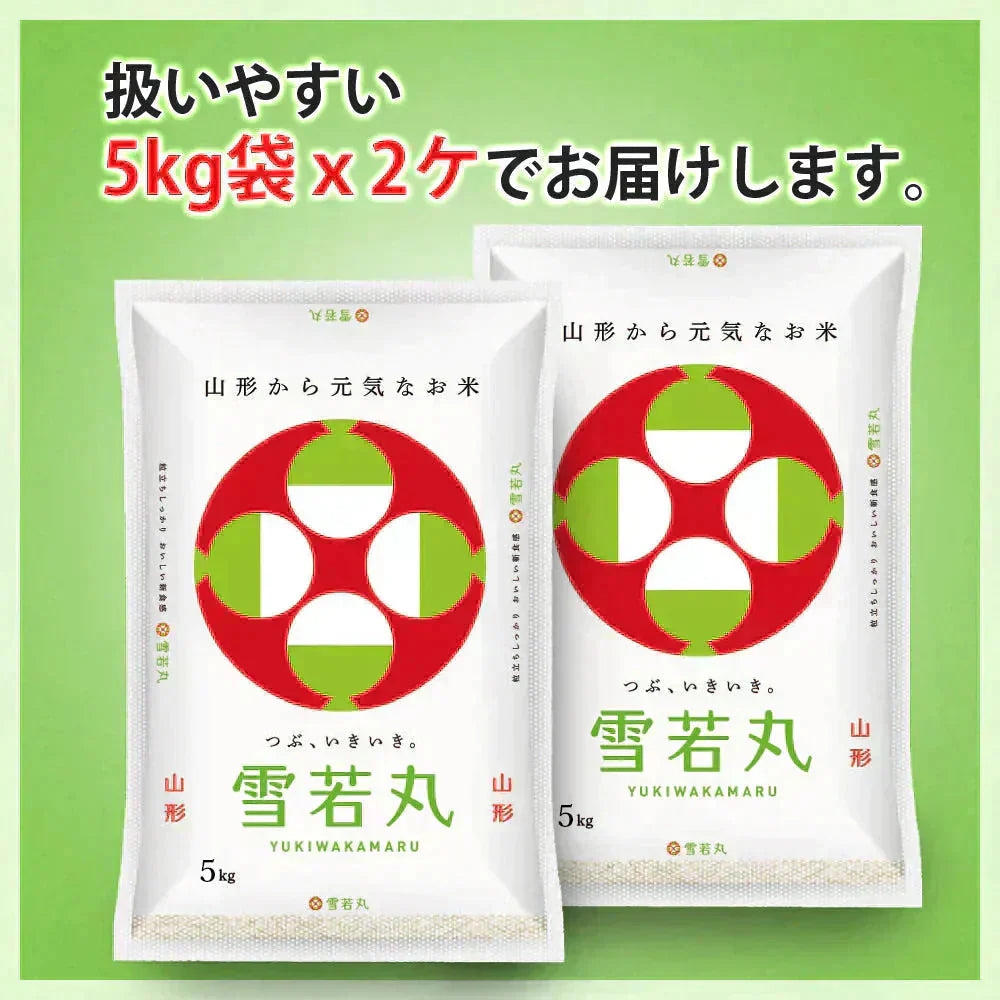 雪若丸 玄米 10kg (5kg×2袋) 山形県産 令和7年産 送料無料 米 10キロ こめ コメ お米 新米 お米10kg 雪若丸10kg 雪若丸10キロ