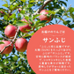 【12月上旬-下旬頃ご注文受付順次】訳ありりんご サンふじ 約3kg バラ詰め 山形産 林檎 リンゴ ふじ フジ 訳あり サイズ混合